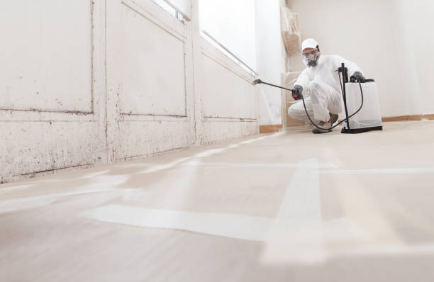 24/7 Emergency Attic Mold Remediation experts in Glencoe, MN